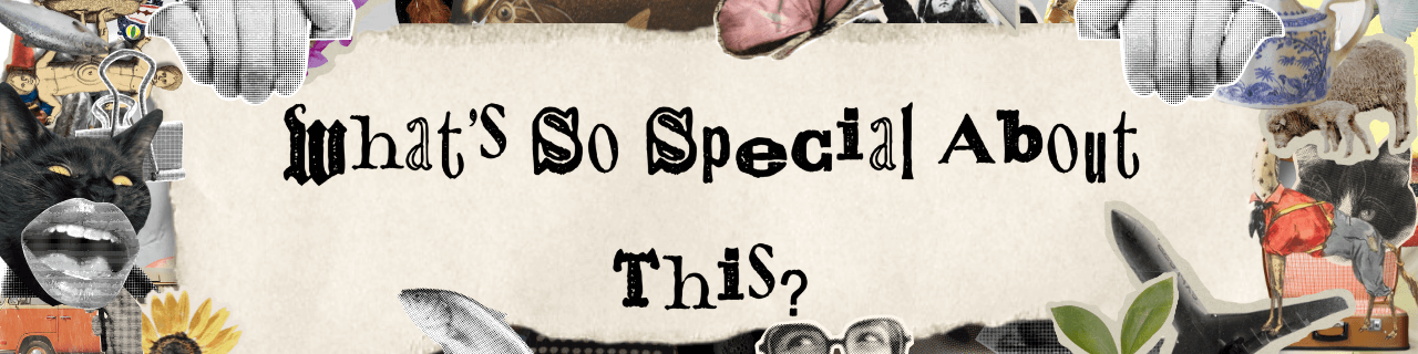 What's So Special About This?